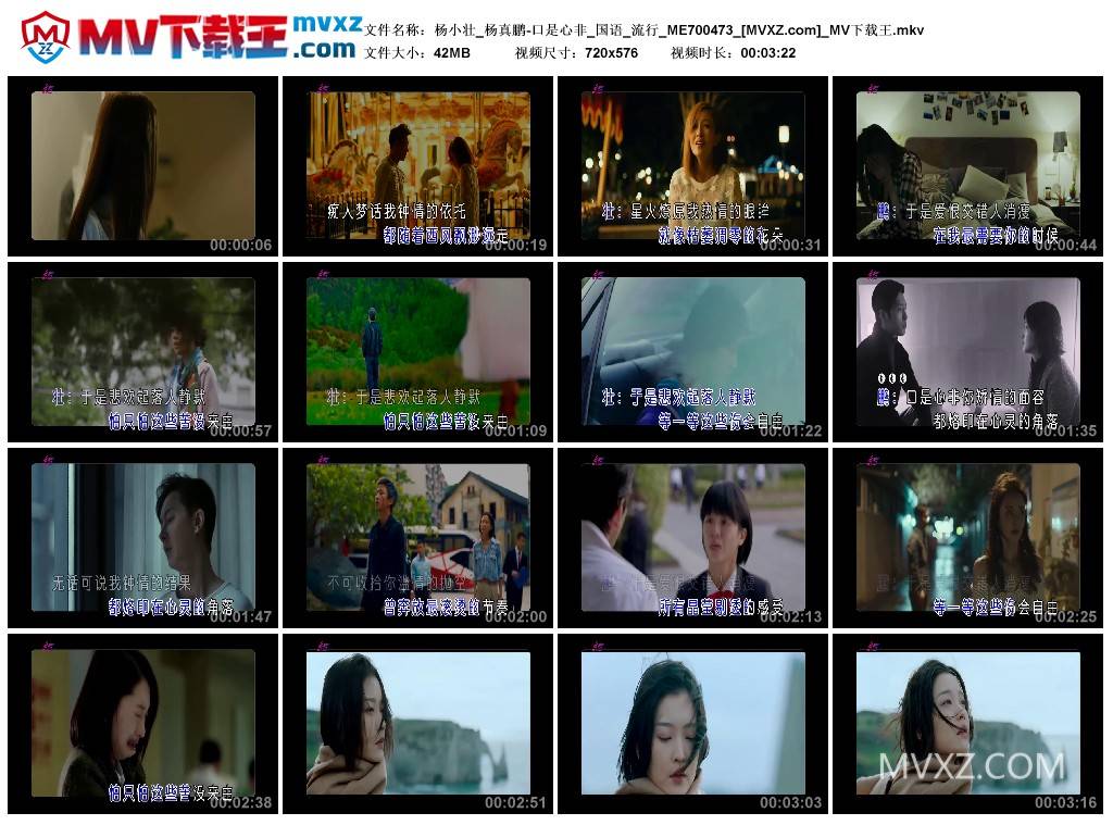 杨小壮_杨真鹏-口是心非_国语_流行_ME700473